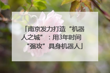 南京发力打造“机器人之城”：用3年时间“强攻”具身机器人