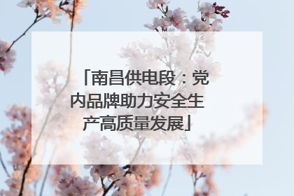 南昌供电段：党内品牌助力安全生产高质量发展