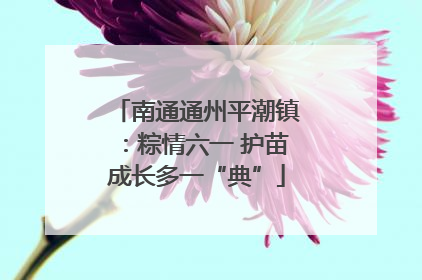 南通通州平潮镇：粽情六一 护苗成长多一“典”