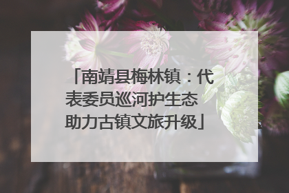 南靖县梅林镇：代表委员巡河护生态 助力古镇文旅升级