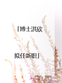 博士洪欣拟任新职