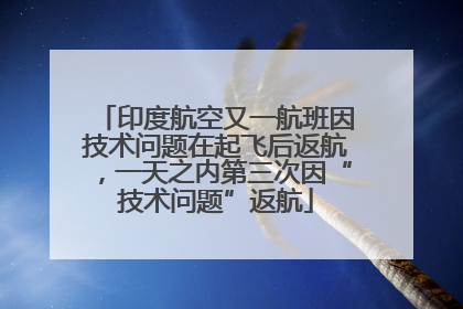 印度航空又一航班因技术问题在起飞后返航，一天之内第三次因“技术问题”返航