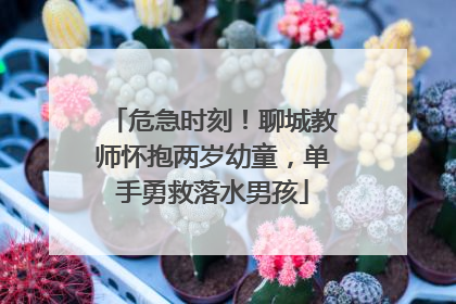危急时刻！聊城教师怀抱两岁幼童，单手勇救落水男孩