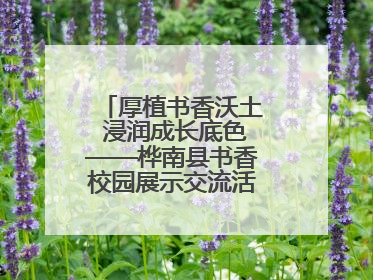 厚植书香沃土 浸润成长底色——桦南县书香校园展示交流活动圆满举行