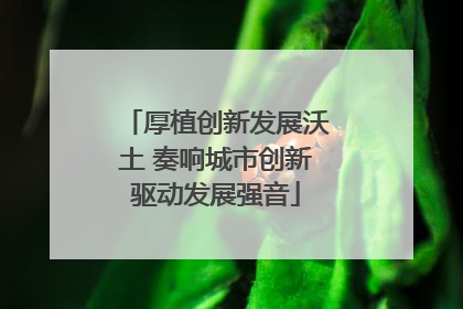 厚植创新发展沃土 奏响城市创新驱动发展强音