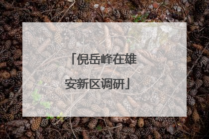 倪岳峰在雄安新区调研