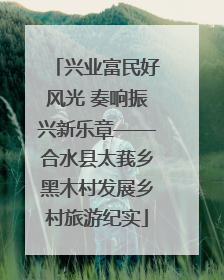 兴业富民好风光 奏响振兴新乐章——合水县太莪乡黑木村发展乡村旅游纪实