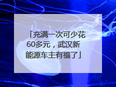 充满一次可少花60多元，武汉新能源车主有福了