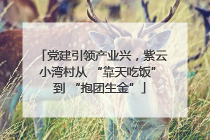 党建引领产业兴，紫云小湾村从 “靠天吃饭” 到 “抱团生金”