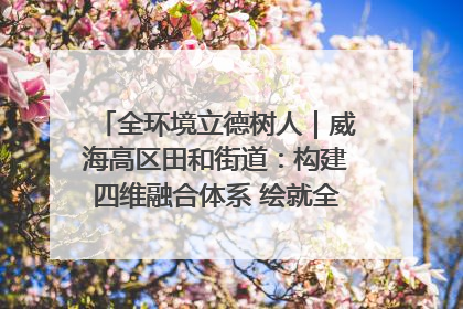 全环境立德树人｜威海高区田和街道：构建四维融合体系 绘就全环境立德树人新画卷