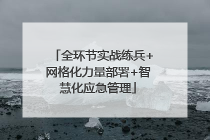 全环节实战练兵+网格化力量部署+智慧化应急管理