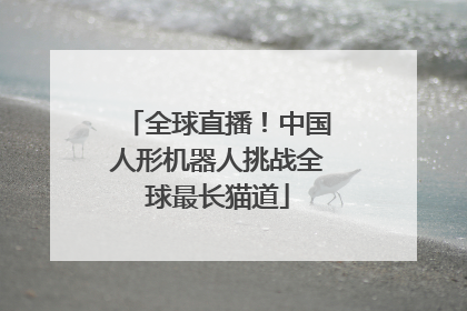 全球直播！中国人形机器人挑战全球最长猫道