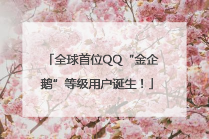 全球首位QQ“金企鹅”等级用户诞生！