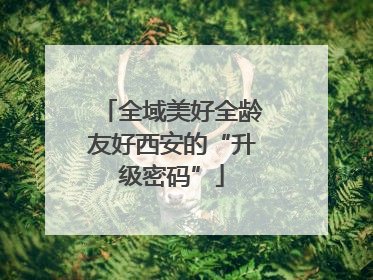 全域美好全龄友好西安的“升级密码”