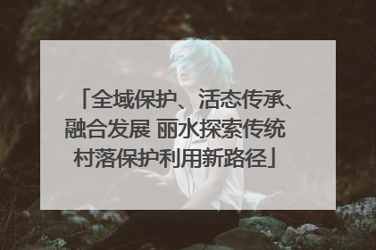 全域保护、活态传承、融合发展 丽水探索传统村落保护利用新路径