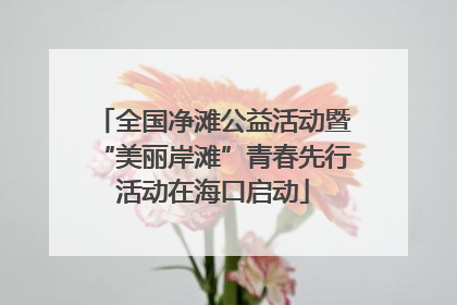 全国净滩公益活动暨“美丽岸滩”青春先行活动在海口启动