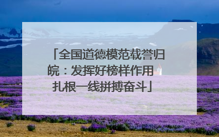 全国道德模范载誉归皖：发挥好榜样作用 扎根一线拼搏奋斗