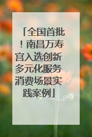 全国首批！南昌万寿宫入选创新多元化服务消费场景实践案例
