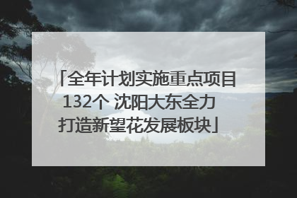 全年计划实施重点项目132个 沈阳大东全力打造新望花发展板块