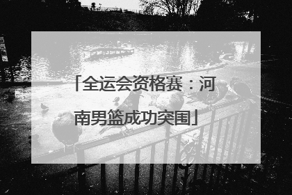 全运会资格赛：河南男篮成功突围