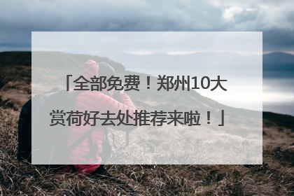 全部免费！郑州10大赏荷好去处推荐来啦！