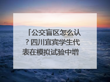 公交盲区怎么认？四川宜宾学生代表在模拟试验中增强乘车安全意识