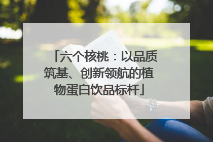 六个核桃：以品质筑基、创新领航的植物蛋白饮品标杆