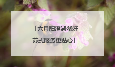 六月阳澄湖蟹好 苏式服务更贴心