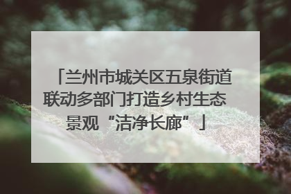 兰州市城关区五泉街道联动多部门打造乡村生态景观“洁净长廊”