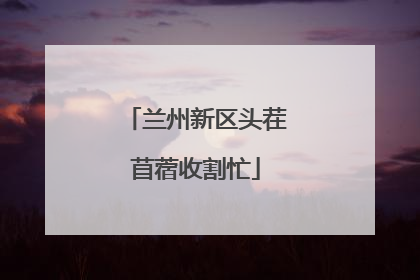 兰州新区头茬苜蓿收割忙