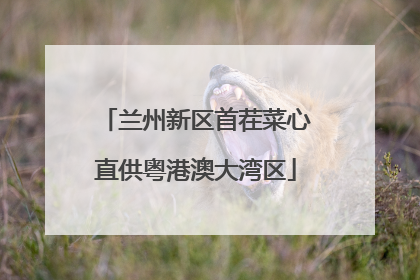 兰州新区首茬菜心直供粤港澳大湾区