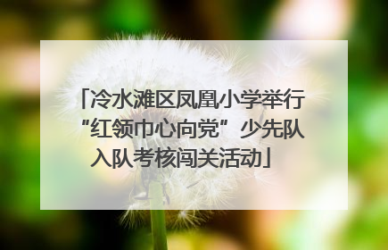 冷水滩区凤凰小学举行“红领巾心向党”少先队入队考核闯关活动
