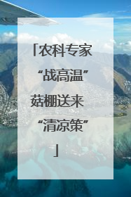 农科专家“战高温” 菇棚送来“清凉策”