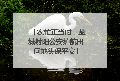 农忙正当时，盐城射阳公安护航田间地头保平安