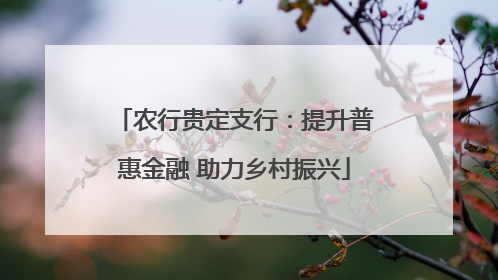 农行贵定支行：提升普惠金融 助力乡村振兴