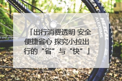 出行消费透明 安全便捷省心 探究小拉出行的“省”与“快”