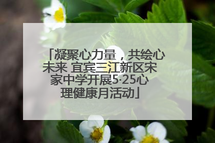 凝聚心力量，共绘心未来 宜宾三江新区宋家中学开展5·25心理健康月活动