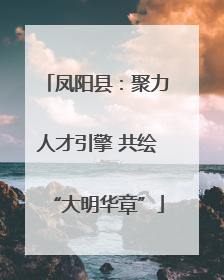 凤阳县：聚力人才引擎 共绘“大明华章”