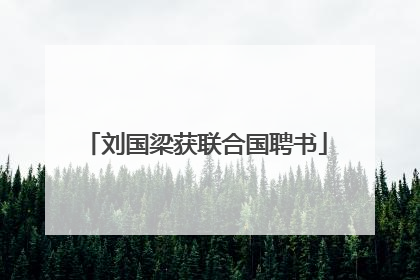 刘国梁获联合国聘书