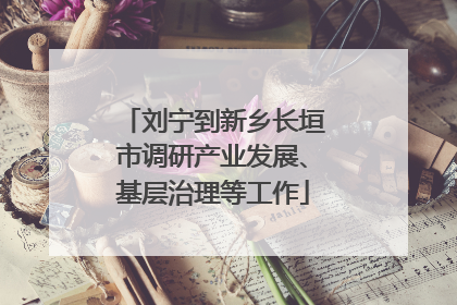 刘宁到新乡长垣市调研产业发展、基层治理等工作