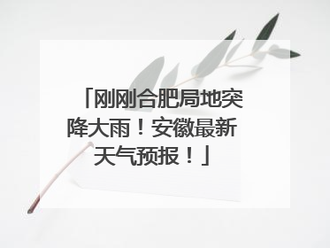 刚刚合肥局地突降大雨！安徽最新天气预报！