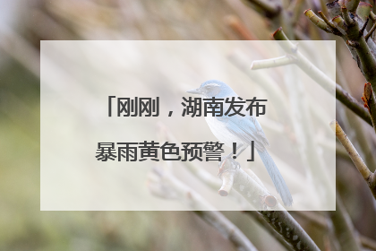 刚刚，湖南发布暴雨黄色预警！