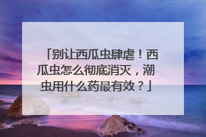 别让西瓜虫肆虐！西瓜虫怎么彻底消灭，潮虫用什么药最有效？