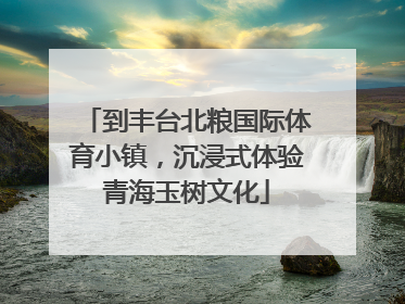 到丰台北粮国际体育小镇，沉浸式体验青海玉树文化