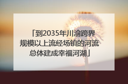 到2035年川渝跨界规模以上流经场镇的河流总体建成幸福河湖