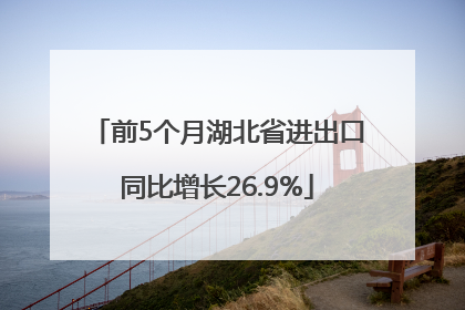 前5个月湖北省进出口同比增长26.9%