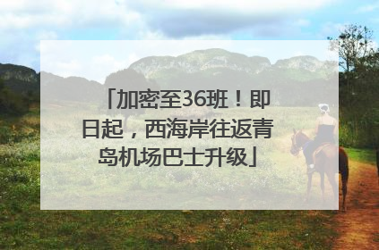 加密至36班！即日起，西海岸往返青岛机场巴士升级