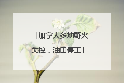 加拿大多地野火失控，油田停工