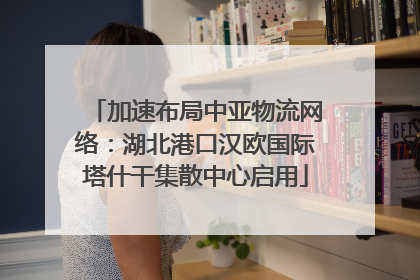加速布局中亚物流网络：湖北港口汉欧国际塔什干集散中心启用
