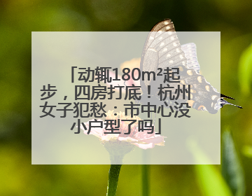 动辄180m²起步，四房打底！杭州女子犯愁：市中心没小户型了吗